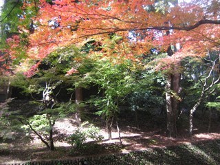 秋の京都・大阪旅行2011年 021.JPG